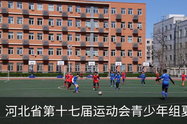 河北省第十七届运动会青少年组夏季项目拉开帷幕